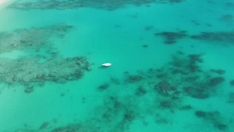 Top down aerial drone perspective looking through crystal clear turquoise ocean Stock Footage 337101246