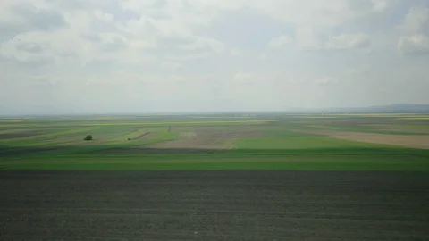 Top down aerial drone shot of a green field with mountain in background 4K Stock Footage 85557818