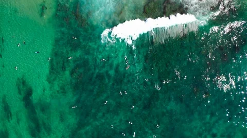 Top down aerial drone shot above surfers in surfing the waves on a sunny day Stock Footage 120665069