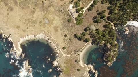 Top Down Aerial Drone Shot of Point Lobos State Natural Reserve, Carmel, CA Stock Footage 125783380