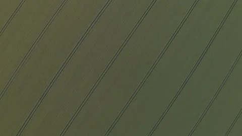 Top down aerial drone shot of a farmland crop field Stock Footage 137493387