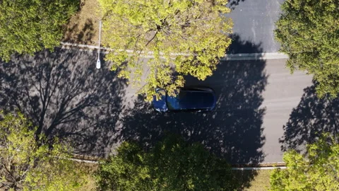 Top-down aerial drone shot of black Tesla car driving along a treelined suburban Stock Footage 321117527