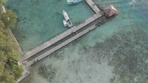 Top-Down Aerial Drone Shot Moving Toward Sea with Pier at Tropical Island Video stock 327072262