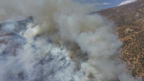 Top-down aerial drone shot of intense white smoke cloud rising from a wildfire Stock Footage 328157131