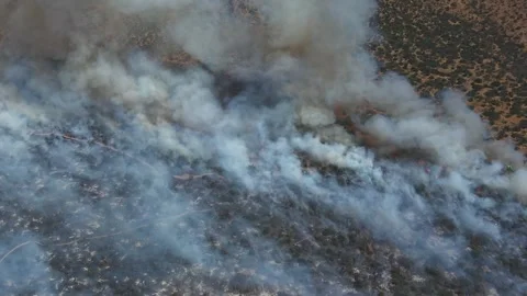 Top-down aerial drone shot of a wildfire line burning through dry vegetation Stock Footage 328157145