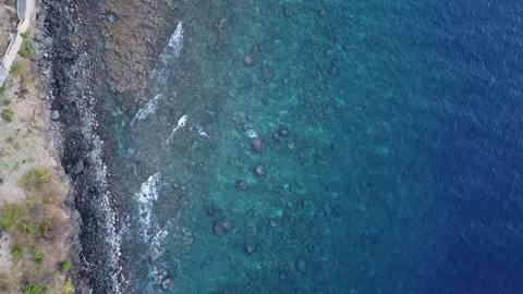 Top Down Aerial Drone Shot Moving Forward Along Tropical Shoreline Stock-Footage 333554737