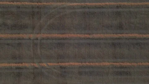 Top-Down Aerial Drone Shot of Symmetrical Lines in Harvested Wheat Field Stock Footage 339292696