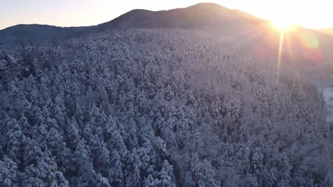 Top Down Aerial Drone View above Snow Covered Forest and curved Highway Stock Footage 170013684