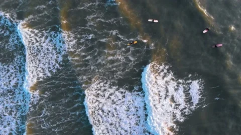 Top down aerial drone view of surfers in Wijk aan Zee, The Netherlands Stock Footage 229337603