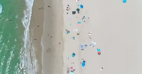Top Down Aerial Drone View of the Santa Monica Beach in Los Angeles, California Stock Footage 245026346