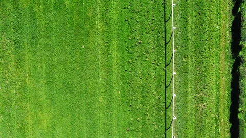 Top-down aerial drone view of Milan racetrack with grass turf, showing track Stock Footage 321670101