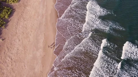Top down aerial drone view of walkers on beach Stock-Footage 323304332