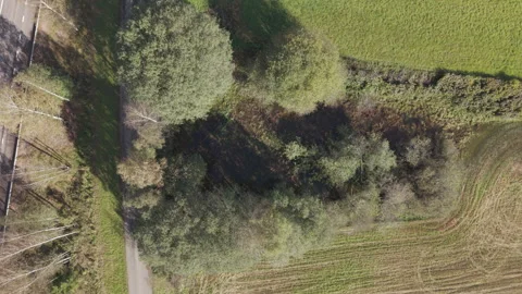 Top down aerial drone view rising over small pond and road in Sweden, autumn Stock Footage 323863601