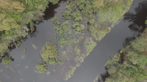 Top down aerial drone view of flooded river islands and vegetation Sweden Stock Footage 323865490