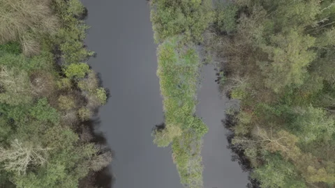 Top down aerial drone view of flooded river islands and vegetation Sweden Stock Footage 323869388