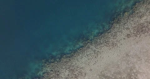 Top-down aerial drone view of coral reef meeting turquoise ocean along West Vídeo Stock 331106340