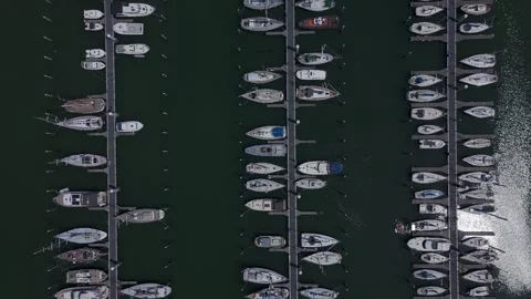Top down aerial drone view of recreational marina and moored boats Video stock 337351324