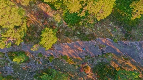 Top down aerial drone view of hiker with backpack . Lapland,Finland . Stock Footage 343433006