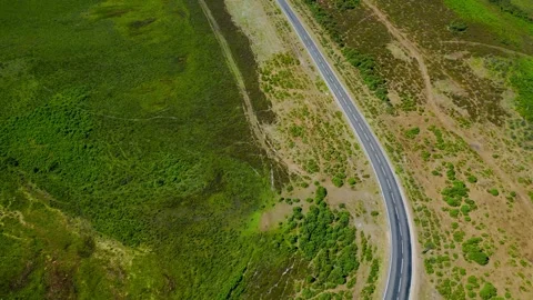 Top Down Aerial Drone View of White Car Driving Along Curving Road in New Forest Stock Footage 346638799