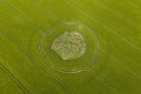 Top down aerial drone view of a circular tree formation surrounded by crop .. Stock Photos