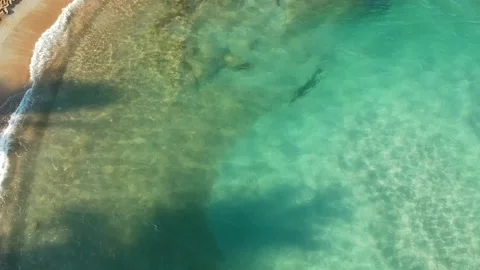Top down aerial Elevating Drone Shot. Flying along the ocean coast. View of the Stock Footage 143076300