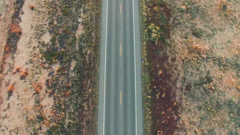 Top down aerial of an empty desert highway in Arizona Stock-Footage 154913699