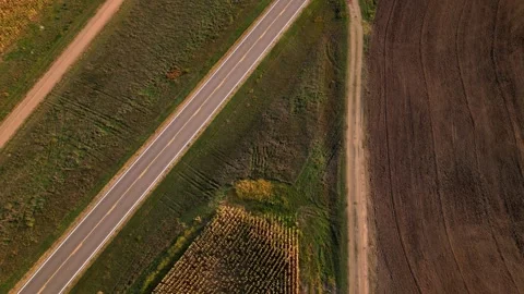 Top-down aerial of a farm track between fields 스톡 동영상 345531745