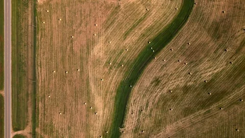 Top-down aerial of a field with a winding line of trees Stock-Footage 345531239