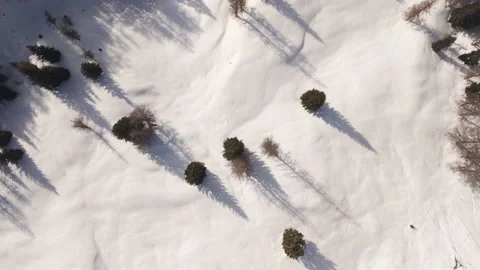 Top-Down Aerial Flight Over Snowy Forest at Lastoi de Formin Stock Footage 337083659