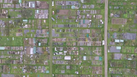 Top-down aerial fly-in of a massive UK allotment site, showcasing diverse plot Vídeos de archivo 294174613