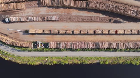 Top down aerial fly-over timber yard with stacked logs, commercial logging Stockbeeldmateriaal 290290157