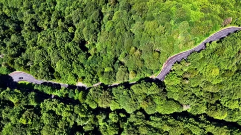 Top Down Aerial Flyover Above Winding Mountain Road Col d Aubisque Vidéo 341389658