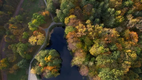 Top down aerial flyover across autumn forest lake. Vídeos de archivo 338282966