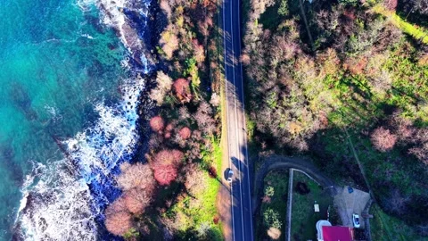 Top Down Aerial Forward Drone Shot of Cars on Scenic Coastal Road Stock Footage 335142273