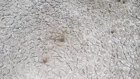 Top down aerial of a Geochemical Study of Desiccated Cerrado Sediments Stock Footage 327395378