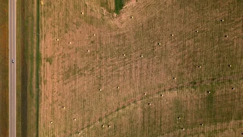 Top-down aerial of hay bales and a tree line in a field 스톡 동영상 345531249