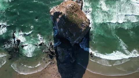 Top-Down Aerial of Haystack Rock Shadow, Cannon Beach Stockbeeldmateriaal 348412856