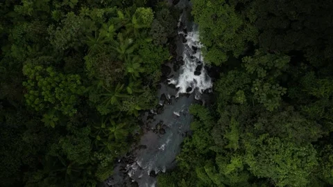 Top down aerial jungle tree tops and Rio Celeste river in Costa Rica cloudy day Stock Footage 329657599