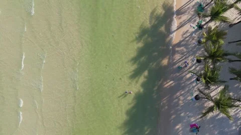 Top Down Aerial of Ocean Waves and Palm Shadows Phu Quoc Vídeos de archivo 337428167
