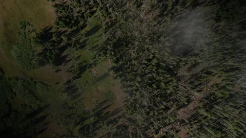 Top down Aerial over low clouds in Challis national Forest near Stanley Idaho Stock Footage 280220359
