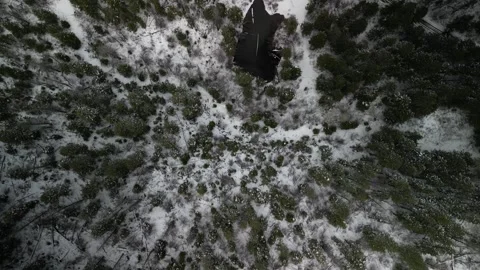 Top down aerial over pine trees snow and pond in western Colorado forest Vidéo 274673221