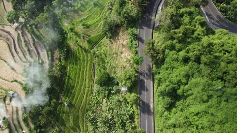 Top down aerial over rice terraces and road Stock Footage 329319542