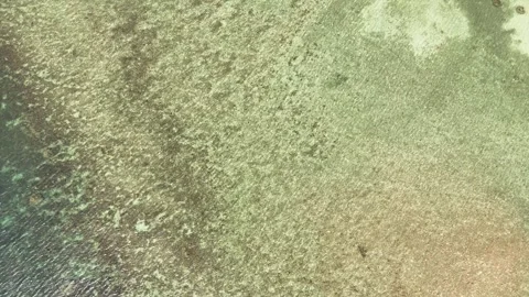 Top Down Aerial Over Shallow Coral Reef Texture, Haad Khom Koh Phangan Stock Footage 347981144