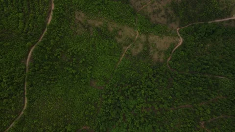 Top down aerial overhead ascending shot over green mountain terrain and road Stock Footage 342240814