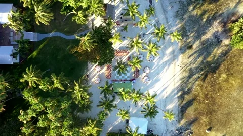 Top Down Aerial of Palm Tree Shadows Over Sand at Cheeca Lodge Stock Footage 311058681