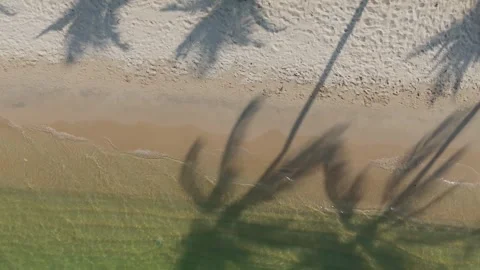Top Down Aerial of Palm Tree Shadow on Maenam Beach Vídeos de archivo 337284819