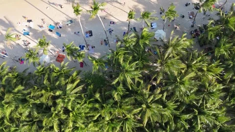 Top Down Aerial of Palm Trees and Khem Beach Phu Quoc Vídeos de archivo 337428180