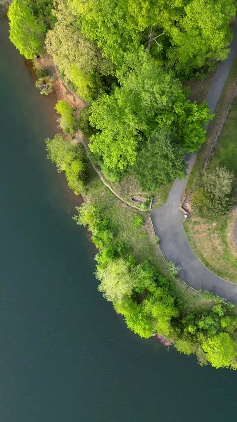 Top Down Aerial of Park Path and Lake Shoreline with Green Trees. Stock Footage 330312407