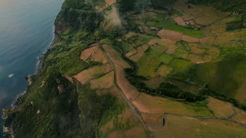 Top-down aerial perspective of a rugged coastline meeting a patchwork of 動画素材 335712115