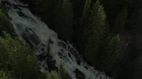 Top down aerial of raging white water river near Red Cliff, Colorado in summer Stock Footage 208829863